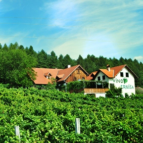 Weingut